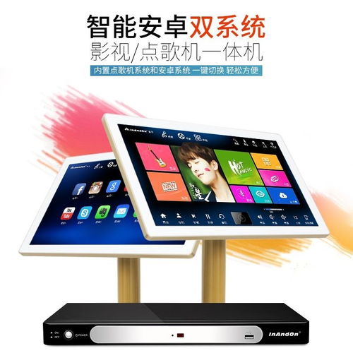 音王點(diǎn)歌機(jī)家庭KTV一體機(jī)套裝 打造家中專屬K歌天地